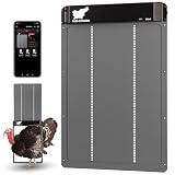 RUN-CHICKEN Giant Door