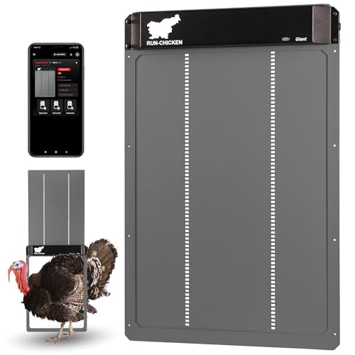 Porte Automatique Run-Chicken Giant Grise pour Grandes volailles. Ouverture 36 x 50 cm, Aluminium résistant aux intempéries. Programmation minuterie ou GPS...