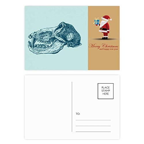 Cartes postales Flank Sketch Noël lot de 20 pour vœux et correspondance