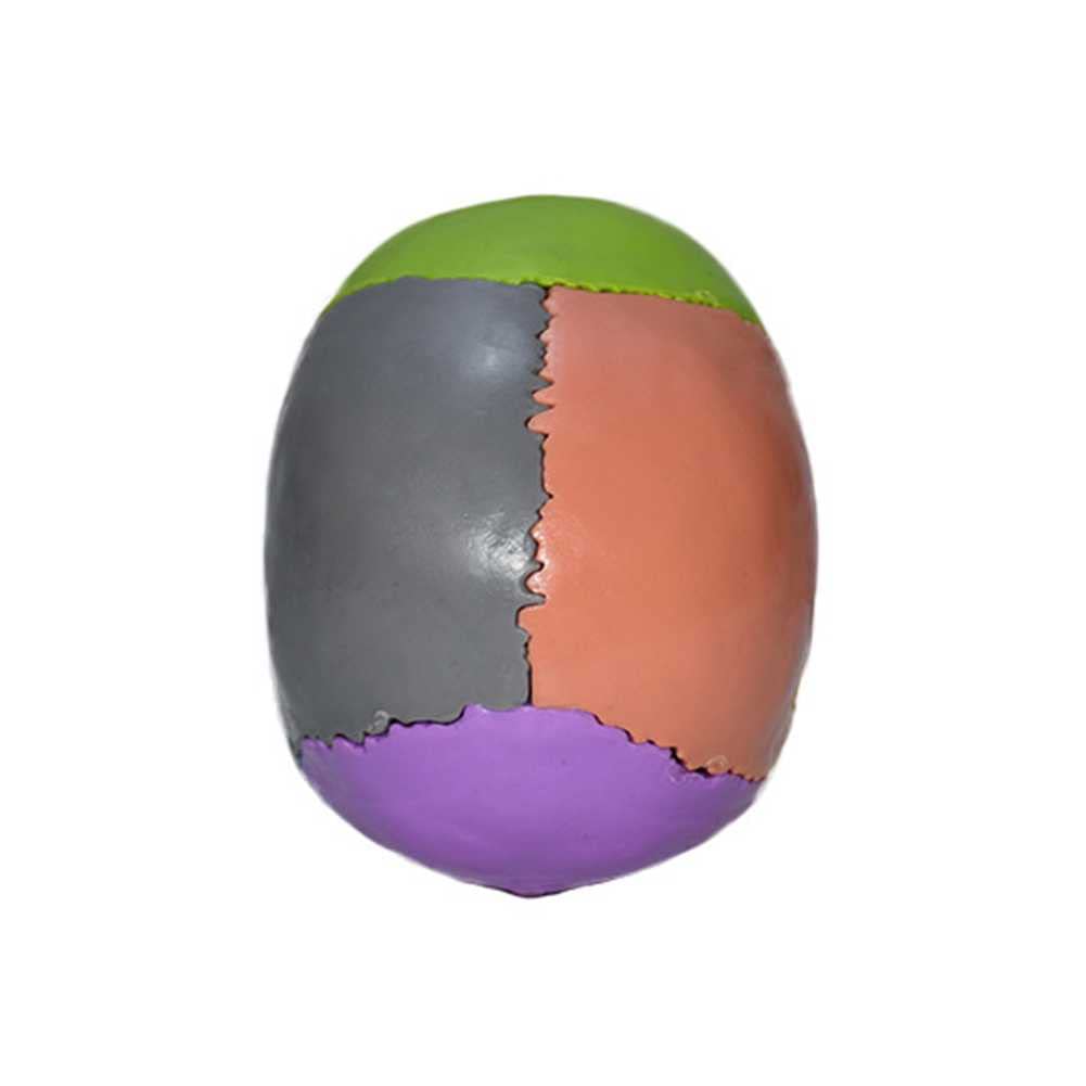 Cráneo Humano A Color 1:2. Descripción del Modelo De Cráneo Humano para Anatomía. Modelo De Cráneo con 15 Piezas De Ensamblaje Y Manual De Descripción De Huesos.