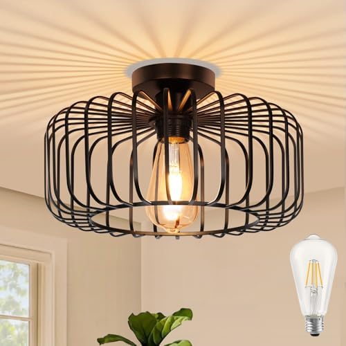 Black Modern Chandeliers Ceiling Lights with Bulb,Metal Cage Ligh...