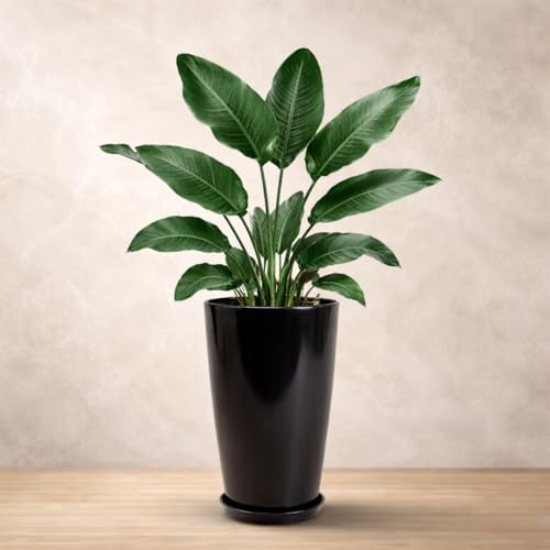 Image of Urban Upvan 18 Inch Solid Black Tower Pot with Tray - Large Round Planter for Indoor & Outdoor Plants, Durable Decorative Plant Container (Pack of 1)