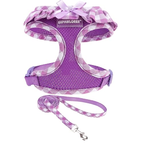 EXPAWLORER Step-in Small Dog Harness and Leash Set, Purple M