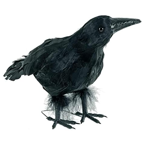 Black Crow Halloween Decoration Realistic Feathers Bird Raven Party Prop 10" 25cm Cover