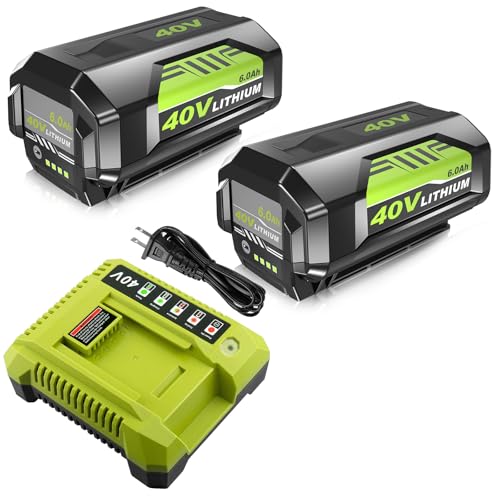 Upgraded 40 Volt 6.0Ah Lithium ion Battery and Charger Replacement for Ryobi 40V Battery and Charger Combo OP400 OP401 OP403A OP4060 OP4050 OP4040 OP40601 Compatible with Ryobi 40 Volt Power Tools