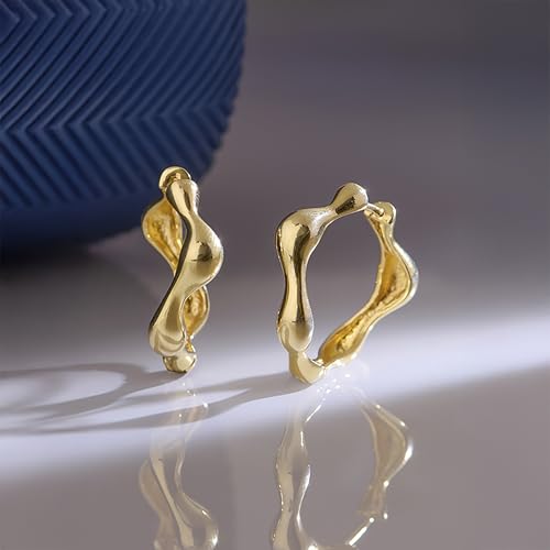 Image of TRUESILVER ACPL 925 Sterling Silver Hoop Earrings | Huggie Hoop Earrings for Women & Men | Classic Everyday Unisex Fashion Jewelry