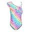 Leopard Rainbow