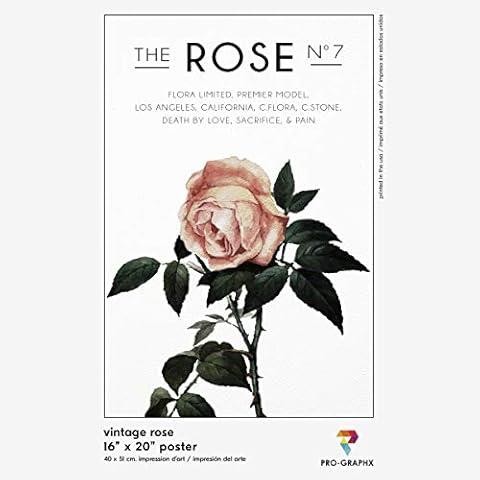 Pro-Graphx Art Poster - Cool College Dorm Room Custom Wall Print for Guys & Girls Bedroom Decoration Interior Graphic Design Flyer - Vintage Rose (16 x 20) Cover