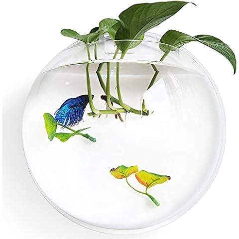 Noodoky Betta Fish Tank Bowl 11.8in, Wall Mounted Beta Fish Small Aquarium, Hanging Plastic Wall Decor for Plant Fish Ecosphere(1 Gallon) Cover