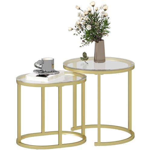 HOMCOM Lot de 2 Tables Basses Tables d'appoint gigognes en Acier et Plateau Verre trempé Transparent - Table Ronde et Ovale - Transparent