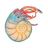 WEKAMOS Modelo Realista de Náutilo Juguete Educativo Resistente para Figura Decorativa de Animales Marinos para Aprendizaje Ambiental y Ciencias Marinas