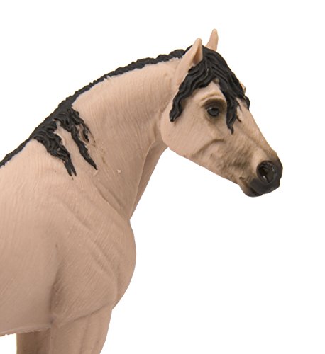 Safari Mustang Mare #TOP3