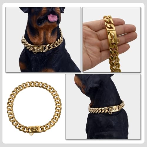 Collier pour chien acier inoxydable or résistant accessoire décoratif - 4