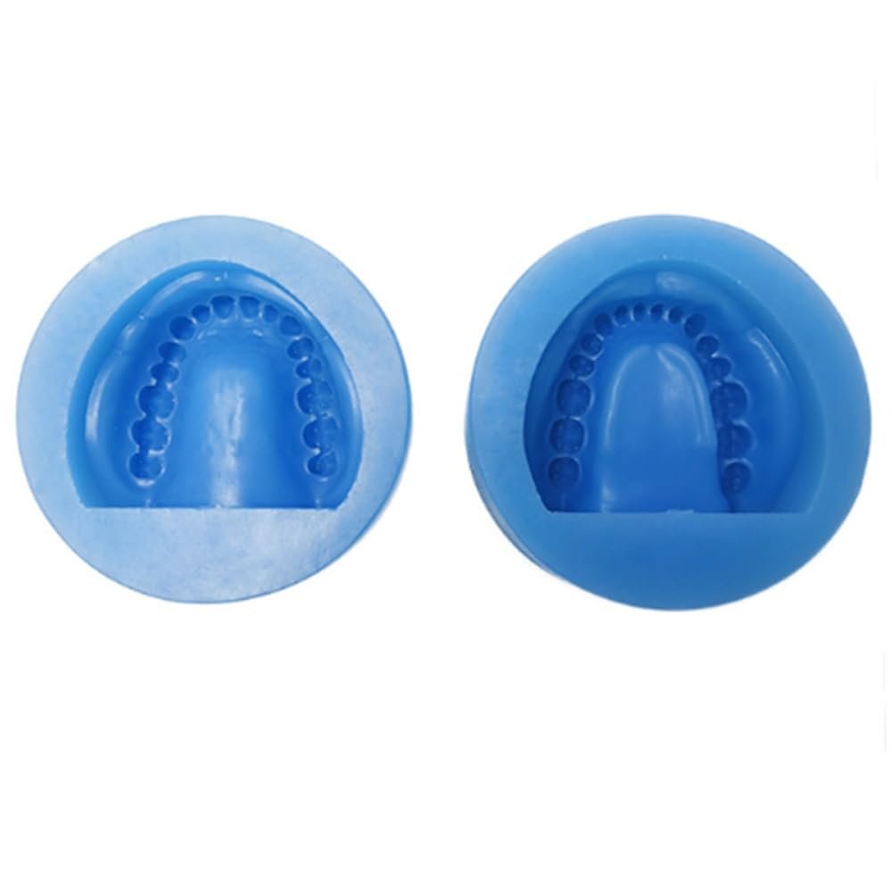 Modello di denti completi da 2 pezzi/set, stampo for modello in gesso dentale, modello dimostrativo di denti con simulazione orale 1:1