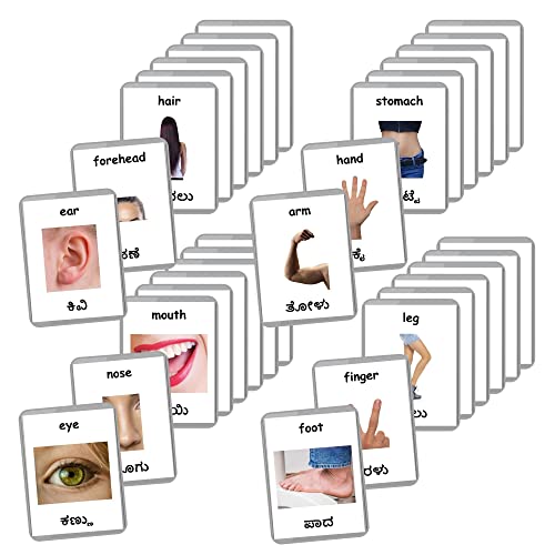 Image of Kannada English Bilingual Flash Cards | Montessori Cards | Laminated Flash Cards | Early Education (Body Parts - 24 Cards)