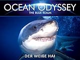  Der weiße Hai
