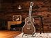 Washburn R310K Victorian Parlor Acoustic Guitar w/Gigbag, Antique Brown