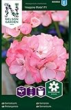 Perfektes Blumensamen Geschenk - Die beste Wahl, wenn es um Geschenke für Gärtner geht! Unsere Sämereien für Geranien erfreuen alle Gärtner und verschönern die Blumenwiese. Super Garten-Geschenk, Blumen Geschenk oder Geschenk für Gartenfreunde allgemein!