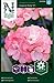Produktbild Geranien Samen - Inspire Pink F1 - Nelson Garden Blumensamen - Geranien Saatgut (220 Stück)