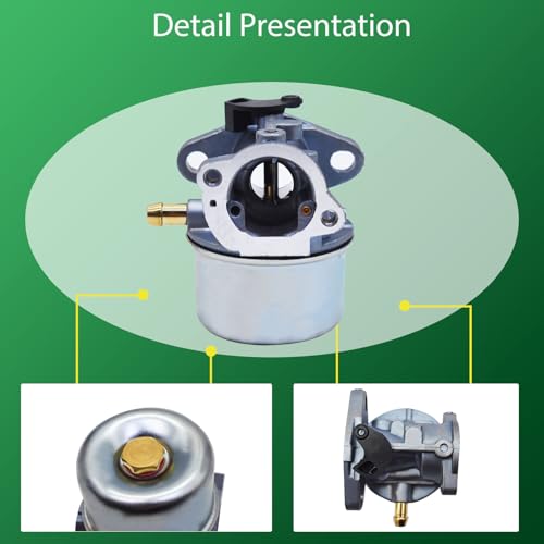 Carburetor Replacement - Detail Presentation
