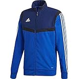 Taglio regolare adidas TIRO19 Pre Jkt, Giacca Sportiva Uomo, Bold Blue/Dark Blue/White, XLT