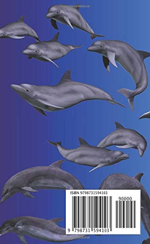 Pocket Planner 2021 - 2023 For Women: Three Year Pocket Monthly Planner Dolphin Design - Image 2