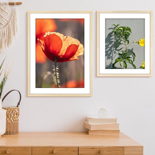 Image of HLiWEGNS Oak 14x18 Frame Set of 3 - Rustic Woodgrain 14 x 18 Poster Frame for Pictures 12x16 with Mat or 14x18 Picture Frame Without Mat for Wall Gallery Display - Ideal Christmas Day