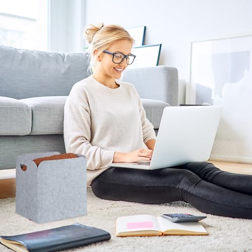 Relaxdays Aufbewahrungskorb aus Filz, 2er Set, HBT: 36 x 36 x 27 cm, Stoffkiste zur Kleinteilaufbewahrung, hellgrau