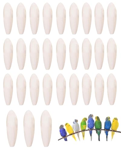 IPNSDON 30 unidades Juguetes masticables para loros hechos de hueso de calamar, juguetes masticables, hueso de calamar, aptos para loros, pájaros, concha de sepia, calamar, hueso de sepia