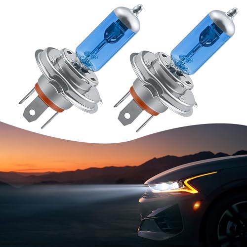 Tesnaao 2 PCS Car Halogen Bulbs, 12V 100/90W Car Xenon Light Bulbs, Super Bright Car Fog Light, Universal Automobile Lights Replacement Kit, for Most Cars, SUVs and Vans (White #H4)