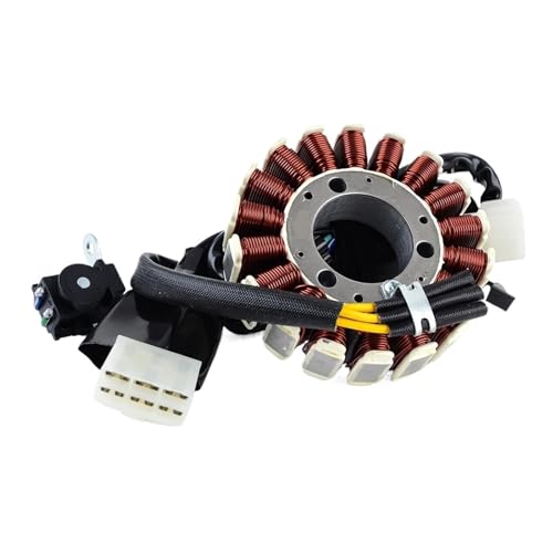 yangjiahong Bobine de Stator 21003-0087 adaptée for Kawasaki KLX 250 KLX250S KLX250SF d-tracker X/bobine générateur moto for KLX250