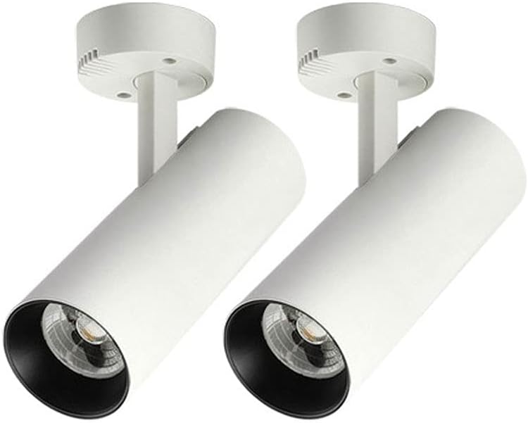 2 Pcs Led Ceiling Spotlight Surface Mounted Accent Spot Lighting Fixture, Adjustable Downlight Metal Ceiling Lamp, Modern Directional Spotlights for Gallery Corridor/White6000K