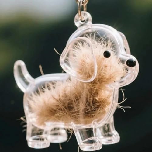 Hundehaar-Sammler-Schlüsselanhänger, Hundehaar-Anhänger, Pelz-Andenken, Kapsel-Anhänger, DIY-Haustier-Aufbewahrungsflasche, kreatives Gedenkgeschenk für Tierliebhaber