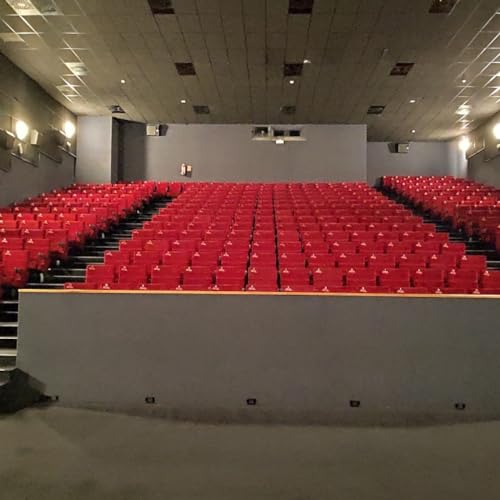 Las mejores pel&iacute;culas de 2023 seg&uacute;n Ram&oacute;n - Alcarria TV &ndash; Al Cine con Ram&oacute;n &ndash; 2023-12-27