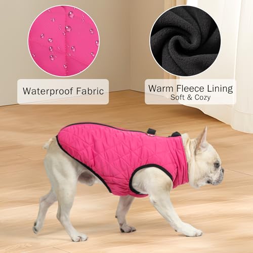 Image of SCENEREAL Dog Winter Coat for Small & Medium Dogs | Warm Dog Jacket with Built-in Harness, Waterproof Cold Weather Coat with Zipper, Fleece Puffer Vest Windproof Snow Clothes