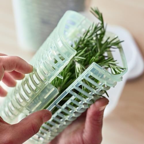 OXO Good Grips Greensaver Herb Keeper - 2.7 L