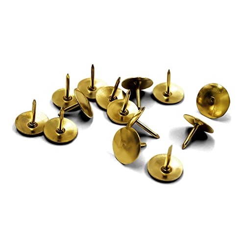 Percevejo Latonado Color com 100