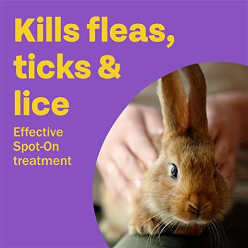 Bob Martin | Spot On Flea Treatment for Small Pets (Rabbits, Hamsters & Guinea Pigs ) |Protection Against Fleas, Ticks, Lice & Mites (1 Pipette)