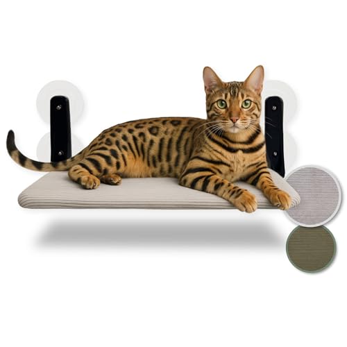 Schwebende Katzenfensterliege – Klappbare & platzsparende Katzenliege mit Saugnäpfen I Wendbare Hängematte für Fenster I Katzenbett bis 20 kg...