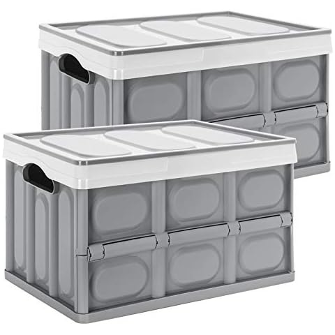 YORBAY Cajas de Almacenamiento Plegables de Plástico con Tapa Gris Cover