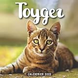  Toyger Calendrier 2022: Calendrier 12 mois, de janvier 2022 à décembre 2022 - 8.5 po x 8.5 po - Un accessoire pratique pour vous aider à planifier et suivre votre vie quotidienne