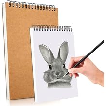 2 Pack Sketch Book, A4 A5 Spiral Bound Sketch Pad 160GSM Sketchbook, Acid Free Art Sketchbook Artistic Drawing Painting Writing Paper for Kids Adults Beginners Artists2PC-A4A5