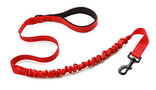 Yommy Cinghia Elastica del Cane Riflettente estensibile 2.5 x 120 cm Cattura impatto per allenamento del Cane