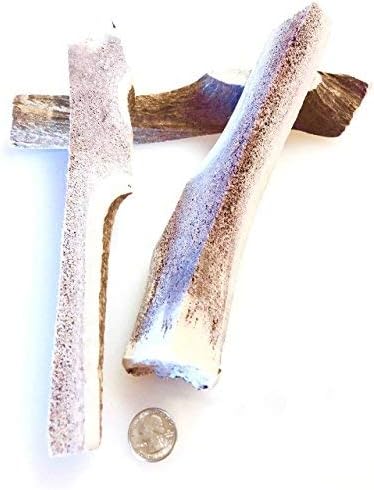 Mountain Dog Chews - X-Large Quartered Split Elk Antler 2 Pack - Elk Antler Dog Chew - Grade A Premium - Organic - Made in USA - No Mess