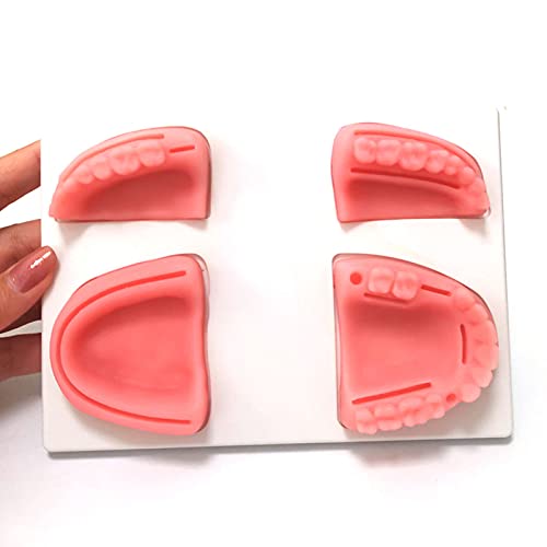 Preisvergleich Produktbild YZILXY Mundnaht-Trainingsmodell, Zahn- Und Zahnfleisch-Nahtmodell, Parodontitis-Nahtmodell Silikon-Nahtpolster-Set Für Den Medizinischen Unterricht