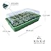 KliKil Invernadero Semillero Germinador Kit de 3 Unidades 72 Compartimentos para Semillas...