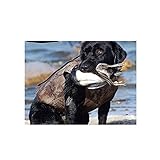 Avery 5mm Boater's Hunting Dog Parka (Natural Gear Natural) (2 Extra Large)