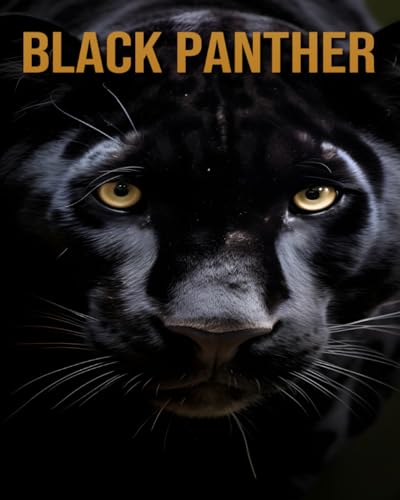 Black Panther: Discover Your Animals