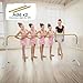 Artan Balance Extension 6Ft Single Bar Curved Ballet Barre 25