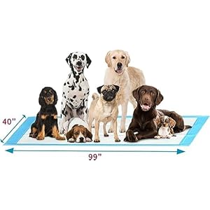 Petsworld mega sized dog pee pads 40 x 994xl gigantic pet piddle pads for puppy training incontinencewith adhesive sticky tapeleak proof 5 layer protection 80 count  urban country home decor